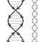 Barbed wires twisted and tied like a DNA spiral. Replicable tattoo design with editable outlines