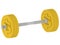 The barbell made from American dollar coins