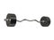 Barbell weight with curl bar
