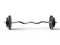 Barbell weight with curved bar and standard weight plates - front view