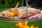 Barbeque Grill With Sausages and chicken wings. Barbecue grill with fire on nature,