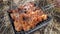 Barbeques on charcoal, shish kebab, chicken kebab grill closeup. Food cooking outdoor