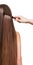 Barber\'s hand combing her long straight hair isolated .