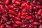 Barberries background