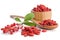 Barberries and goji berries on white background