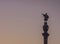 Barcelona Christopher Columbus statue silhouette over sunset clear sky