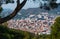 Barcelona city`s urban sprawl. Cityscape view through trees of nearby park.