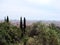 Barcelona city. Spain. City landscape and park views of the city.