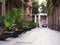 Barcelona, Spain - august 2019: bikes parking between green plants, middle view. Pavement between buildings. Female