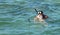 Barcelona, Spain, July 16, 2019: Father and daughter taking a selfie while snorkeling at the beach