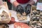 BARCELONA, SPAIN - March 13, 2019: A man is opening a fresh oyster in fish market