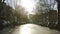 Barcelona, Spain - May, 2018: Lively Park alley with houses. Art. View of residential area with asphalt alley, trees