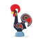 Barcelos portuguese rooster