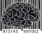 Barcode Brain