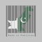 Barcode set the shape to Pakistan map outline and the color of Pakistan flag on dark grey barcode with grey background