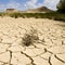 Bardenas Reales