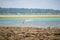 bare backed dark skinned indian fisherman casting net in beautiful arc in the blue green waters of the andaman islands