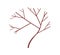 Bare dead tree with naked branches and trunk. Forest plant with winter twigs. Abstract botanical flat vector