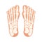Bare Feet with bones isolated vector illustration cartoon graphic