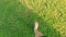 Bare feet walking on the grass POV, concept of freedom and happiness in slow motion