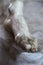 Bare foot of a carved marble statue in the museum there are many hard feet of ancient and historical style in greek art room