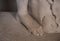 Bare foot of a carved marble statue in the museum there are many hard feet of ancient and historical style in greek art room