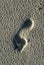 Bare footprint on Schiermonnikoog beach