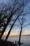 Bare, naked trees silhouettes at sunset on Trasimeno lake shore Umbria, Italy