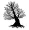 Bare Root Bare Tree, Silhouette Vector on White Background