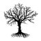 Bare Root and Tree Vector, Silhouette Vector on White Background