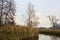 Bare tree on a bend in a stream of water bordered by reeds with reflections of the sky and trees in the water