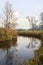 Bare tree on a bend in a stream of water bordered by reeds with reflections of the sky and trees in the water