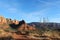 A bare tree and dormant grass in the mountainous desert landscape of Sedona, Arizona