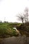 Bare tree by the edge of a stream of water next to a cultivated field on a cloudy day in the italian countryside