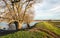 Bare tree in the foreground of a flooded landscape