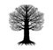Bare Tree Isolated Vector Illustration