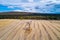 Bare tree in the middle of agricultural field with forest on the background.