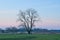 Bare tree silhouettes in a meadow under  a colorful sky after sunset in the flemish countryside