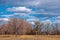 Bare Trees and Clouds at the End of Winter