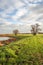 Bare trees on a Dutch dike