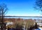 Bare trees in early spring, old tree trunks, wooden footpath, beautiful bright blue sky, lake view on the horizon