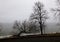 Bare trees with fractal branches in a cold winter lake environment and street