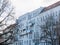 Bare Trees in front of Apartment Building