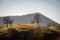 Bare trees and meadow in Autumn on Lessinia Plateau Veneto Italy