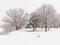 Bare trees in the snow along frozen Prairies river ina city park in Montreal