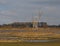 bare trees in a sunny marsh landscape in the flemish countryside