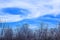 Bare trees and twigs against blue sky. Winter branches silhouettes and colorful clouds. Natural landscape