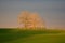 Bare trees under the rays of evening sun breaking through clouds in autumn