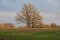 Bare trees under the rays of evening sun breaking through clouds in autumn