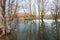 Bare trees in the water of a flooded floodplain